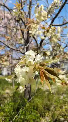 橋寺 放生院(京都府)