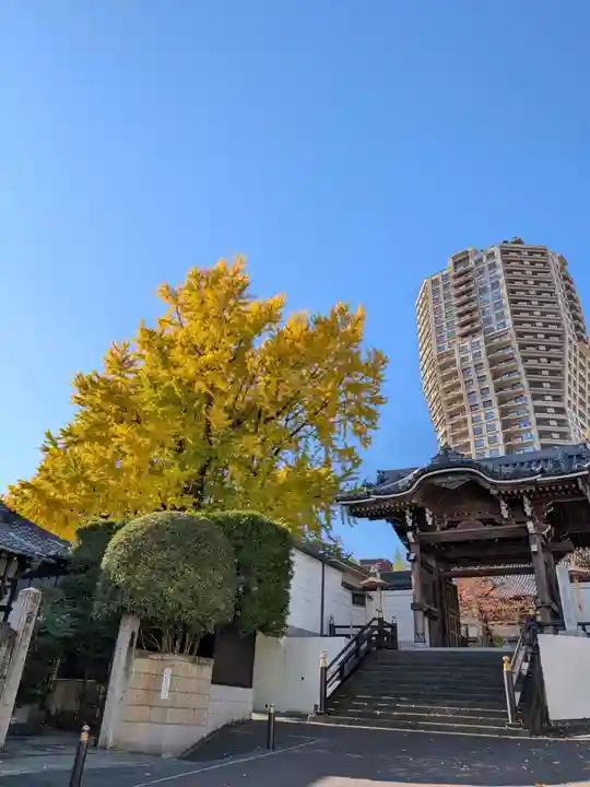 善福寺(東京都)