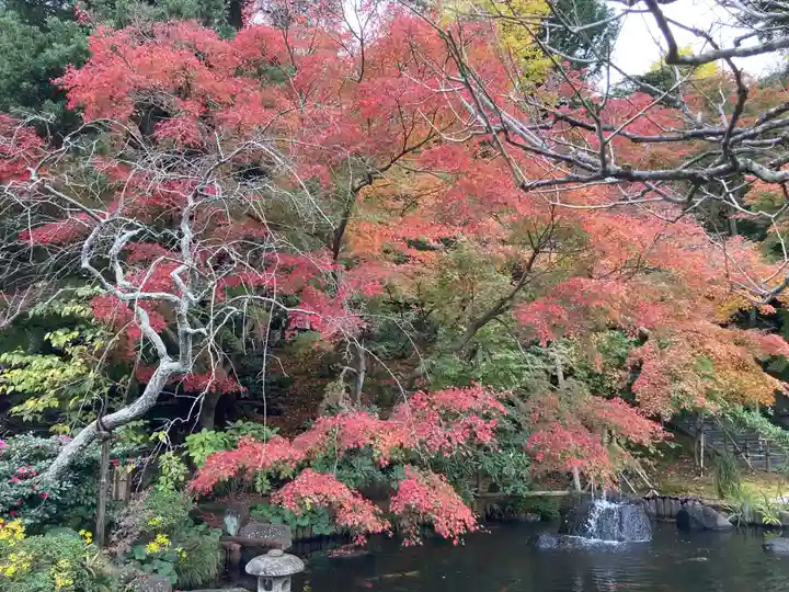 長谷寺(神奈川県)