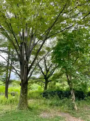 白龍弁財天社(雷電神社末社)(群馬県)