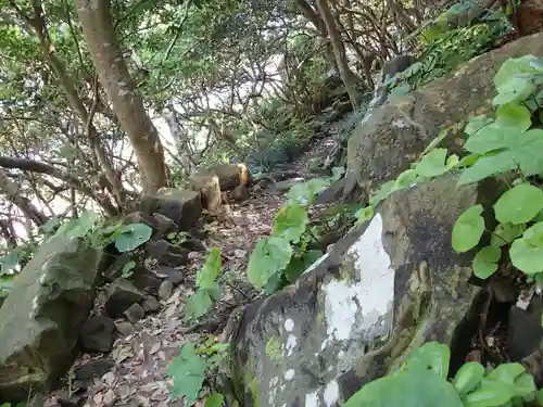 鵜戸神宮の自然