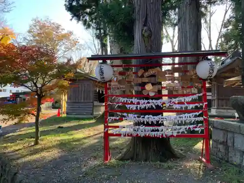 小室浅間神社のおみくじ