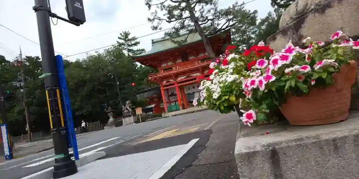今宮神社(京都府)