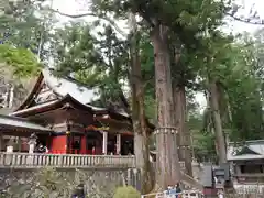 三峯神社(埼玉県)