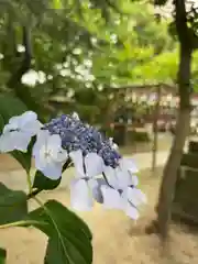 越谷香取神社(埼玉県)