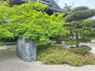 崇禅寺の{uncategorized: "未分類", other: "その他", undefined: "問題あり", building: "その他建物", grave: "お墓", sacred_gate: "鳥居", guardian: "狛犬", statue: "像", buddha: "仏像", history: "歴史", nature: "自然", garden: "庭園", animal: "動物", pagoda: "塔", temizu: "手水舎", mountain_gate: "山門・神門", sanctuary: "本殿・本堂", subordinate: "末社・摂社", art: "芸術", scenery: "景色", jizo: "地蔵", ema: "絵馬", goshuin: "御朱印", omikuji: "おみくじ", items: "授与品その他", amulet: "お守り", goshuincho: "御朱印帳", eats: "食事", festival: "お祭り", votive_dance: "神楽", shichigosan: "七五三参", wedding: "結婚式", experience: "体験その他", initially: "初詣", around: "周辺", anti_infection: "感染症対策"}