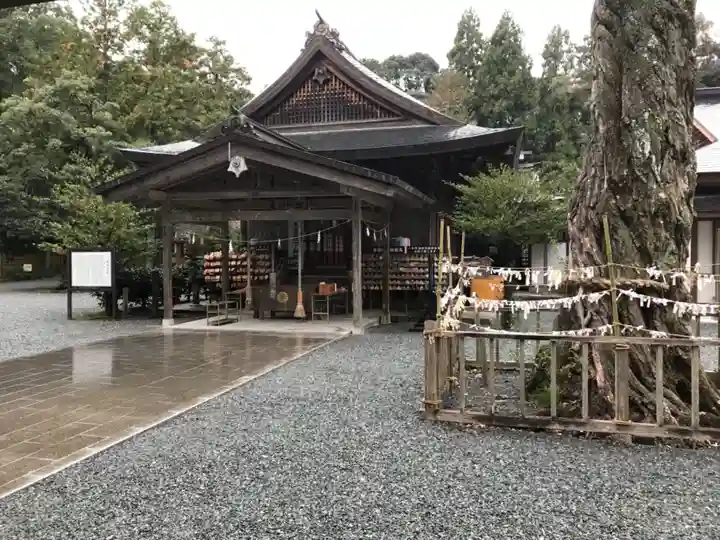 井伊谷宮の本殿・本堂