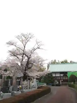 真光寺(千葉県)