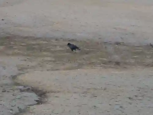 厳島神社(広島県)