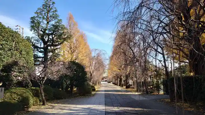 吉祥寺のその他建物