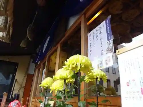菊名神社のその他建物