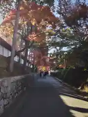 東福禅寺（東福寺）(京都府)