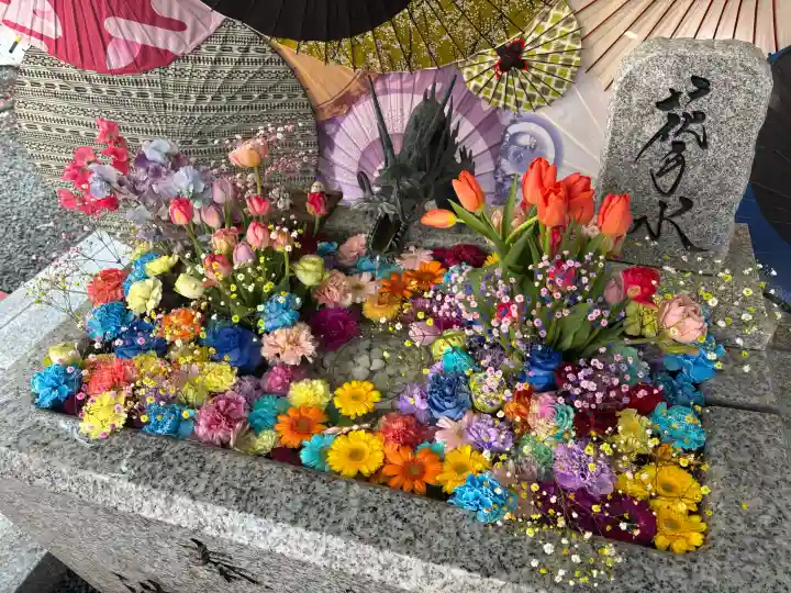 札幌諏訪神社の手水舎