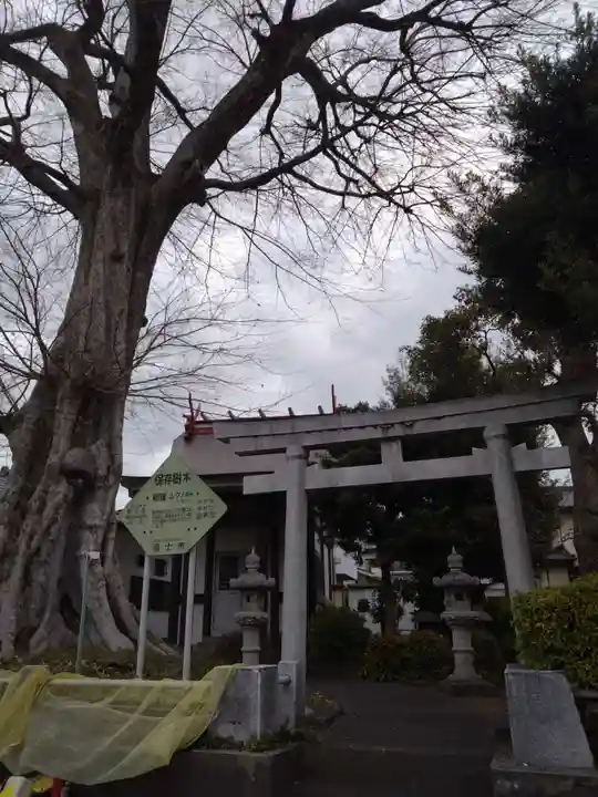 山神社(静岡県)