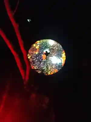 阿智神社の芸術