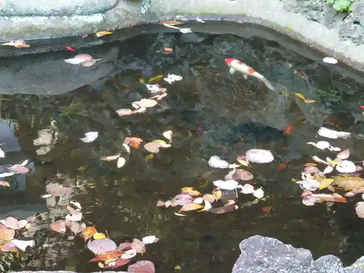 叶神社 (西叶神社)(神奈川県)