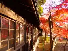 本土寺の建物その他