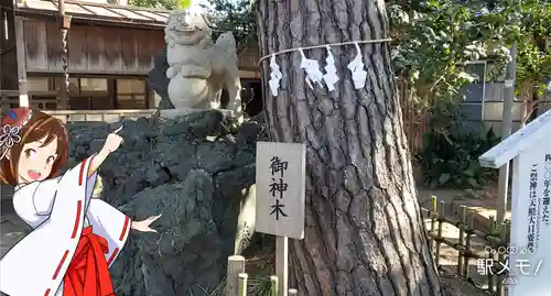神明社の自然