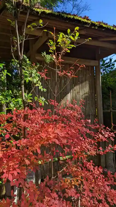 光悦寺(京都府)