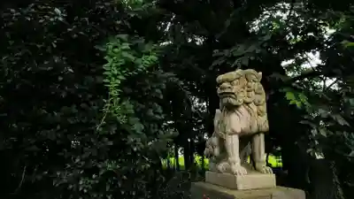 武蔵野神社の狛犬