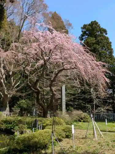 函館八幡宮の{uncategorized: "未分類", other: "その他", undefined: "問題あり", building: "その他建物", grave: "お墓", sacred_gate: "鳥居", guardian: "狛犬", statue: "像", buddha: "仏像", history: "歴史", nature: "自然", garden: "庭園", animal: "動物", pagoda: "塔", temizu: "手水舎", mountain_gate: "山門・神門", sanctuary: "本殿・本堂", subordinate: "末社・摂社", art: "芸術", scenery: "景色", jizo: "地蔵", ema: "絵馬", goshuin: "御朱印", omikuji: "おみくじ", items: "授与品その他", amulet: "お守り", goshuincho: "御朱印帳", eats: "食事", festival: "お祭り", votive_dance: "神楽", shichigosan: "七五三参", wedding: "結婚式", experience: "体験その他", initially: "初詣", around: "周辺", anti_infection: "感染症対策"}