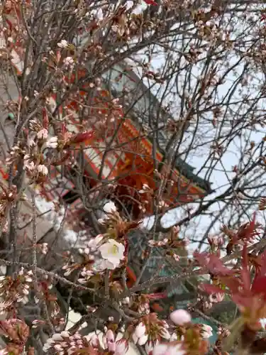 平安神宮の自然