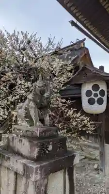 北野天満宮(京都府)