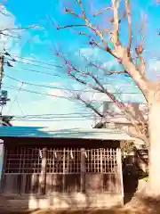 龍ケ崎八坂神社(茨城県)