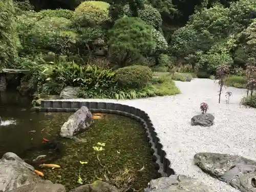 報国寺の庭園