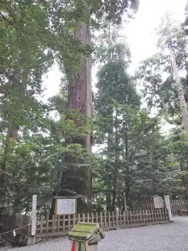 高千穂神社の自然
