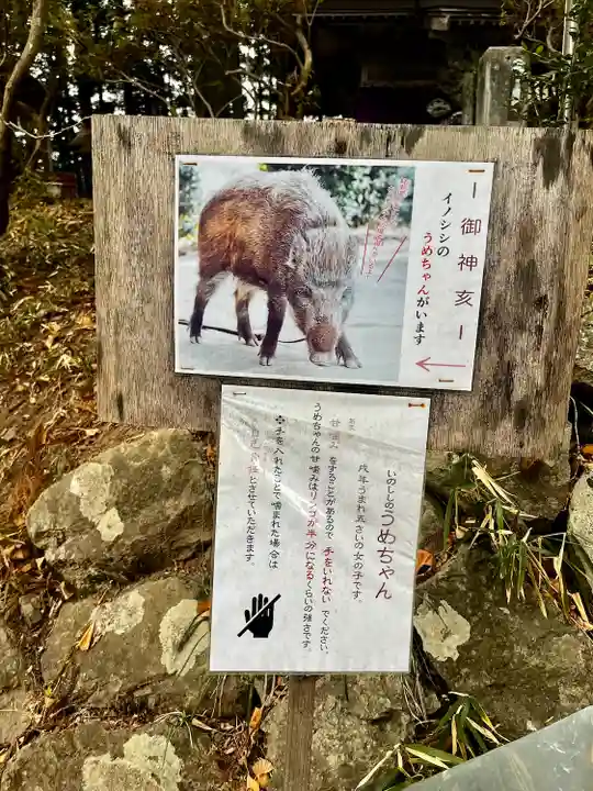 坪沼八幡神社(宮城県)