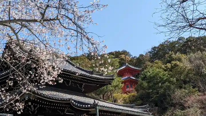 今熊野観音寺(京都府)