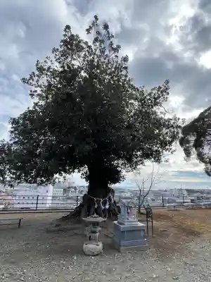 植田八幡神社(福島県)