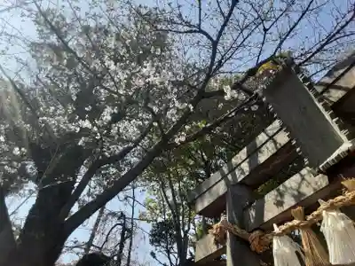 師岡熊野神社(神奈川県)