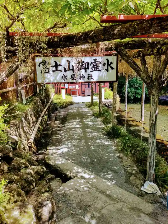 富士山本宮浅間大社の自然