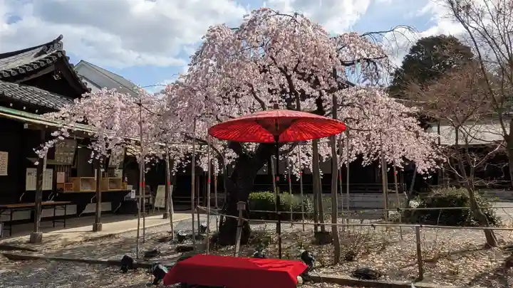 水無瀬神宮(大阪府)