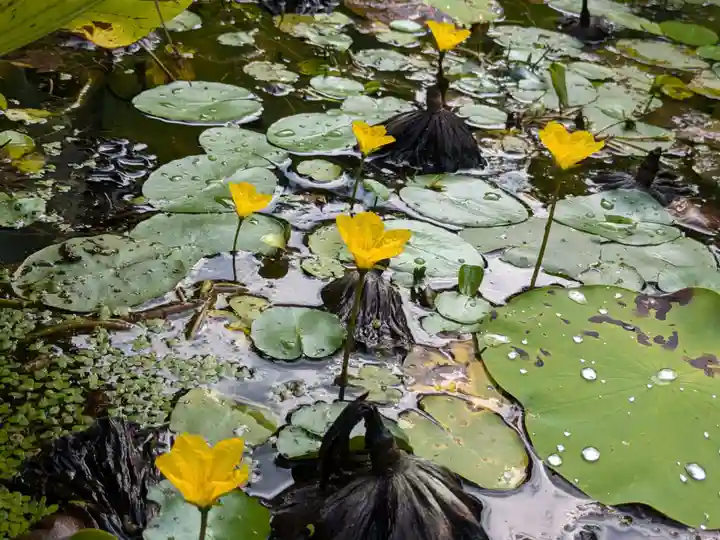 岩井八坂神社(茨城県)