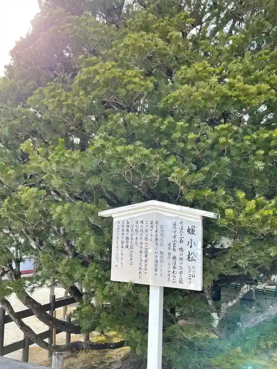 賀茂御祖神社(下鴨神社)のその他建物