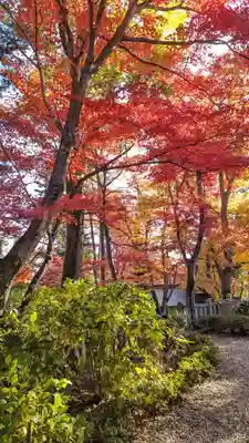 柳谷観音　楊谷寺(京都府)
