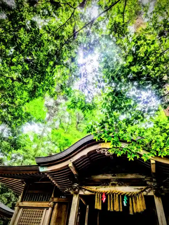 槵觸神社(宮崎県)