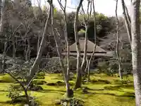 祇王寺の庭園