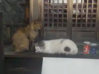 成田山名古屋別院大聖寺(犬山成田山)(愛知県)