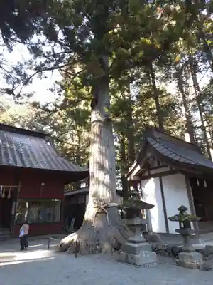 北口本宮冨士浅間神社(山梨県)