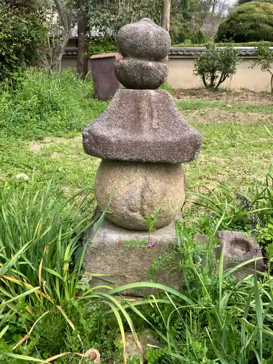 般若寺 ❁コスモス寺❁(奈良県)