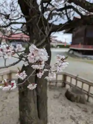 鼬幣稲荷神社(岩手県)