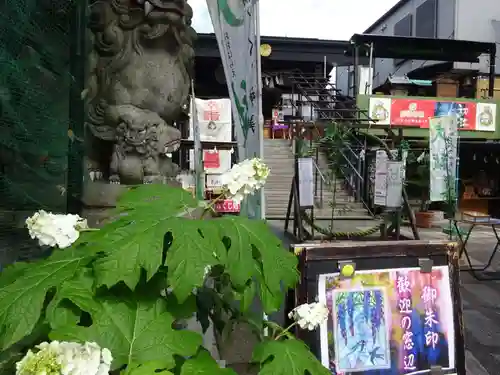 菊名神社の自然