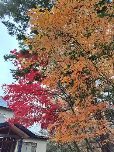 東神楽神社の自然