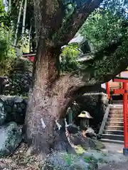 瓢箪山稲荷神社(大阪府)