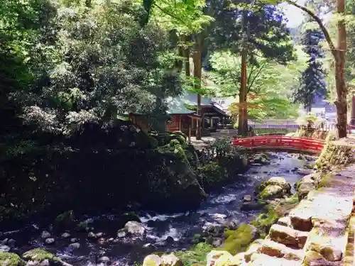 永平寺の自然