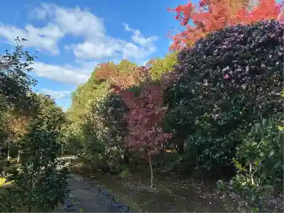 霊鑑寺門跡(京都府)